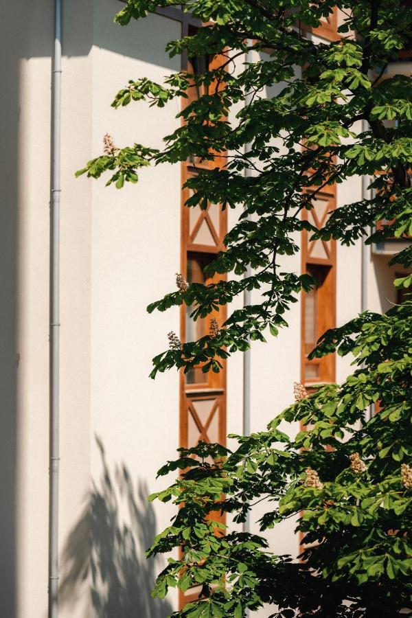 Sosnowe Tarasy Apartment Mielno  Exterior photo